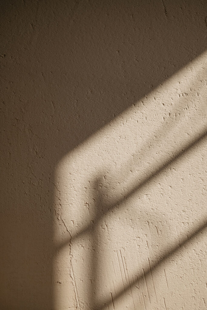 kaboompics_textured-harmony-natural-forms-and-shadows-in-still-life-decor-35227