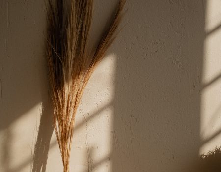 kaboompics_textured-harmony-natural-forms-and-shadows-in-still-life-decor-35211